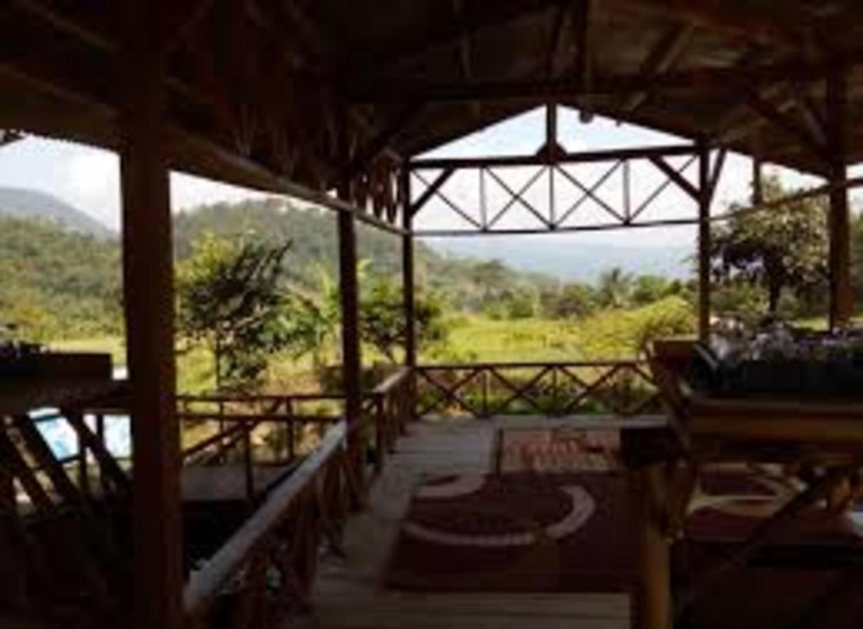 De Salak Homestay Богор Экстерьер фото
